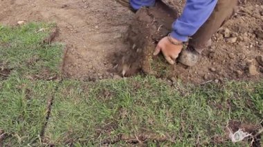 Unrolling çim, çim uygulama için yeni bir çim rulo.