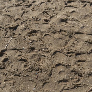 Ayak izli kumun dokusu