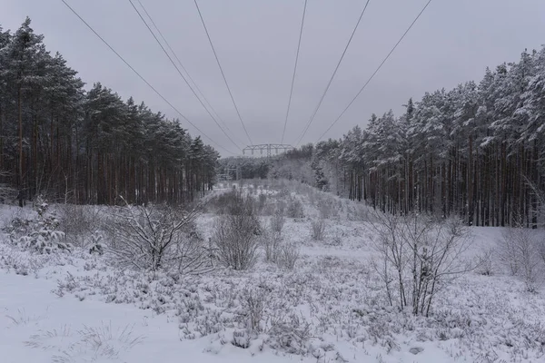 Forest clearing between two pine forests in winter with lots of snow, in the middle high-voltage power lines