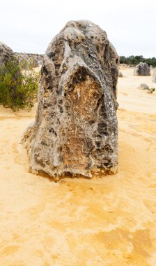 Pinnacles kireçtaşı oluşumları Nambung Milli Parkı içinde Cervantes, Batı Avustralya, yakınındaki vardır.