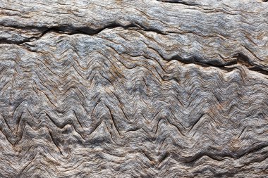 ahşap arka plan veya doku olarak kullanmak için yakın çekim