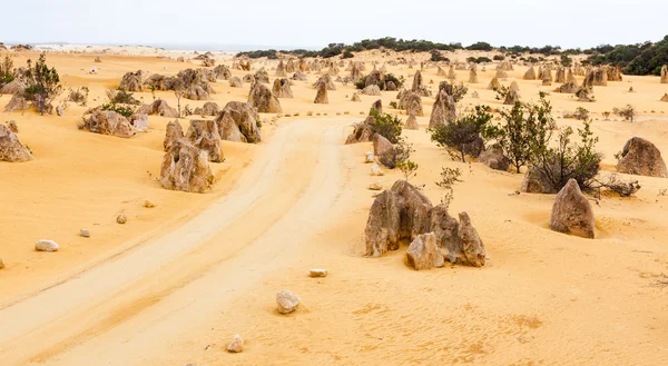 顶点是石灰岩 Nambung 国家公园内 靠近西方澳大利亚塞万提斯 — 图库照片