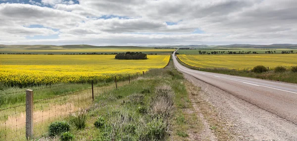 Vista Vicino Renmark Australia — Foto Stock