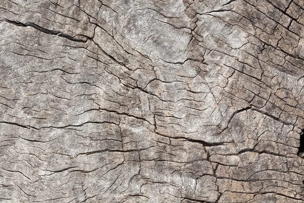 Zblízka Dřeva Pro Použití Jako Pozadí Nebo Textury — Stock fotografie