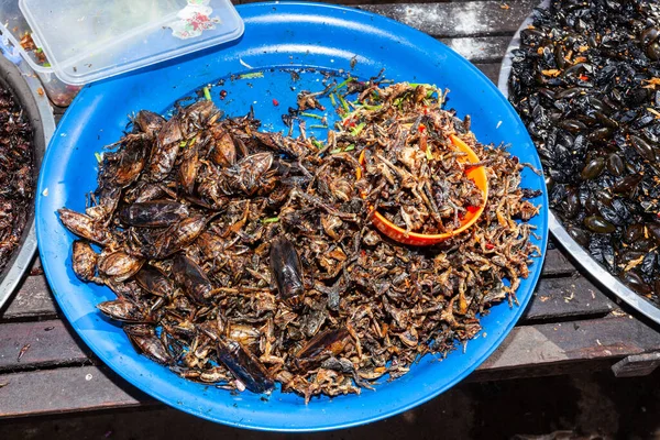 Kamboçya Vietnam Tayland Asya Satılık Kızarmış Böcekler Bulundu — Stok fotoğraf