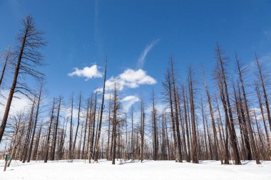 Amerika 'da tipik kış sahnesi