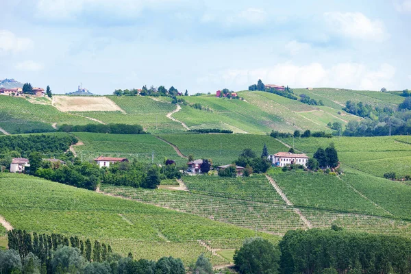 Vingårdar Provence Frankrike — Stockfoto