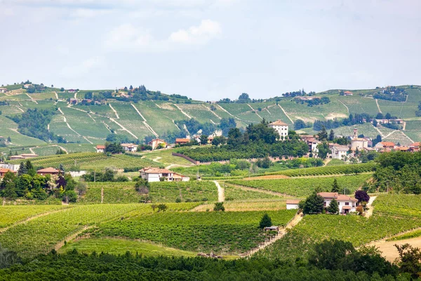 Виноградники Провансі Франція — стокове фото