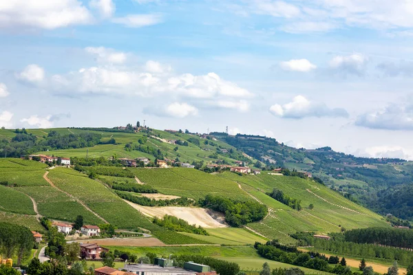 Viñedos Provenza Francia — Foto de Stock