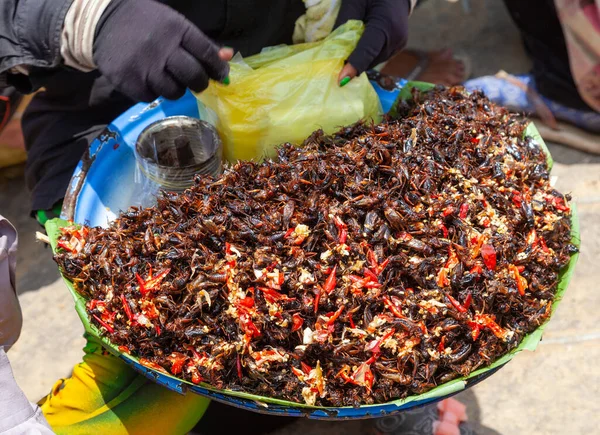 Vietnam Lezzet Böcekleri Çoğunlukla Hamamböcekleri — Stok fotoğraf