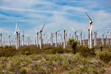 California 'da yenilenebilir enerji rüzgar çiftliği