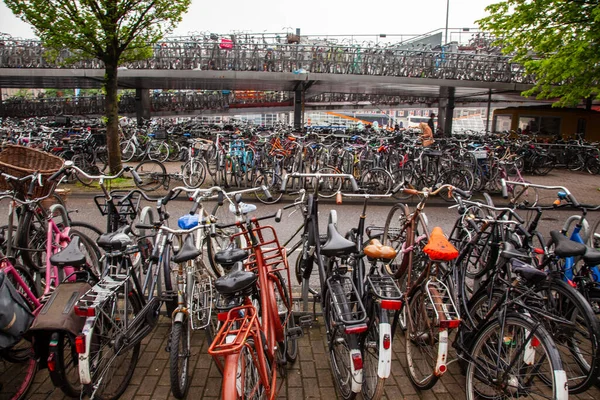 Ποδηλασία Στο Άμστερνταμ Είναι Κύριος Τρόπος Μεταφοράς Αυτό Είναι Πάρκινγκ — Φωτογραφία Αρχείου