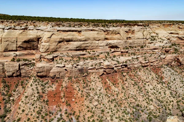 Fruita Canyon Desfiladeiro Íngreme Forrado Com Imponentes Paredes Arenito Wingate — Fotografia de Stock