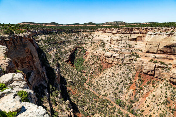 Fruita Canyon, is a steep canyon lined with towering Wingate sandstone walls. Rim Rock Drive snakes up the canyon below before climbing its west side. The canyon floor is composed of 1.5-billion-year-