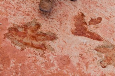 Dinozor ayak izleri ve Tuba 'da daha fazlası var.