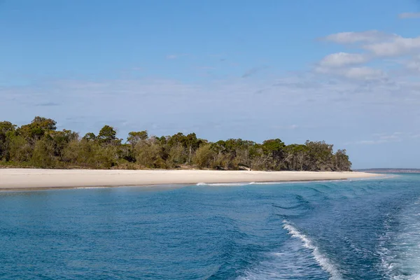 著名的弗雷泽岛被列入世界遗传名录 最大的沙岛也以鲸鱼闻名的地区 — 图库照片