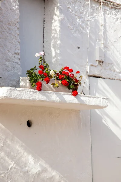 Skrzynka Kwiaty Pelargoniami Almeria Hiszpania — Zdjęcie stockowe