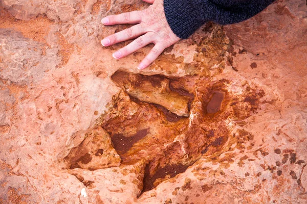 Dinozor Ayak Izleri Tuba Daha Fazlası Var — Stok fotoğraf