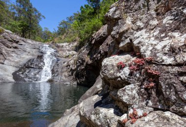 Gold Coast Hinterland 'daki popüler Cedar Creek Şelalesinde kaya havuzları ve şelaleleri