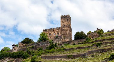 Kültürel ve tarihsel olarak kıtanın en büyük nehirlerinden biri ve dünyanın en önemli endüstriyel ulaşım arterleri arasında yer alıyor..