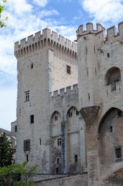 Fransa 'nın güneydoğusundaki Provence bölgesinde yer alan Avignon şehri Ren Nehri' ne kurulmuştur. 1309 'dan 1377' ye kadar Katolik papaların merkeziydi. 1791 'de Fransa' nın bir parçası olana kadar papalık yönetimi altında kaldı..