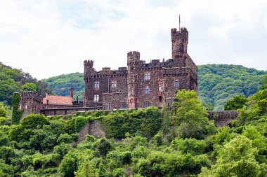 Kültürel ve tarihsel olarak kıtanın en büyük nehirlerinden biri ve dünyanın en önemli endüstriyel ulaşım arterleri arasında yer alıyor..