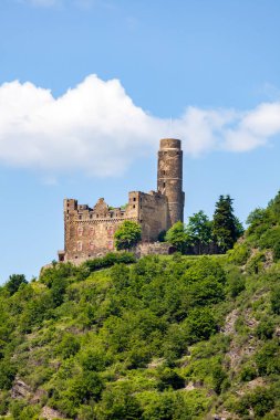 Kültürel ve tarihsel olarak kıtanın en büyük nehirlerinden biri ve dünyanın en önemli endüstriyel ulaşım arterleri arasında yer alıyor..