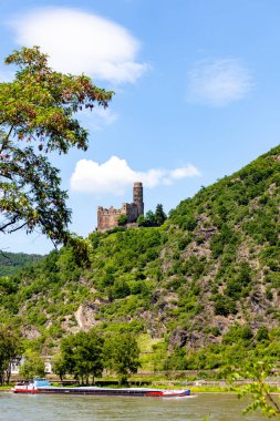 Kültürel ve tarihsel olarak kıtanın en büyük nehirlerinden biri ve dünyanın en önemli endüstriyel ulaşım arterleri arasında yer alıyor..