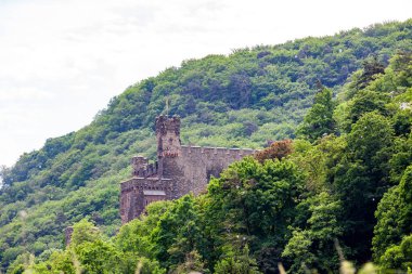 Kültürel ve tarihsel olarak kıtanın en büyük nehirlerinden biri ve dünyanın en önemli endüstriyel ulaşım arterleri arasında yer alıyor..