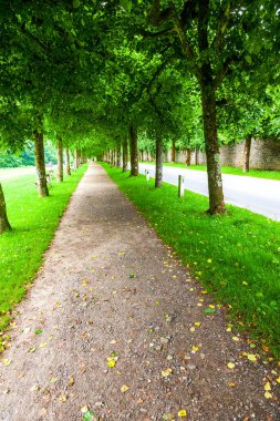 Bouillon Belçika 'da sahne. Kasaba Semois nehrinin keskin bir kıvrımında yer almaktadır. Birinci Haçlı Seferi 'nin lideri ve Kudüs Krallığı' nın ilk hükümdarı olan Bouillon Godfrey 'in evi.