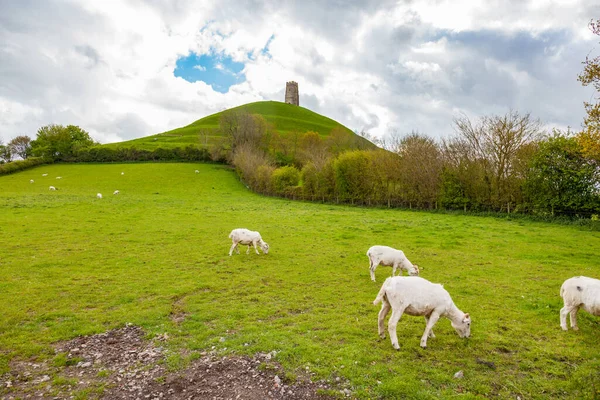 Tor Glastonbury Sur Inglaterra Antiguo Montículo Pagano Neolítico Con Torre — Foto de Stock