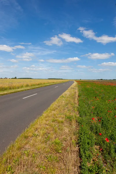 Escena Francia Dorgone Fileds Flowers Hay — Foto de Stock