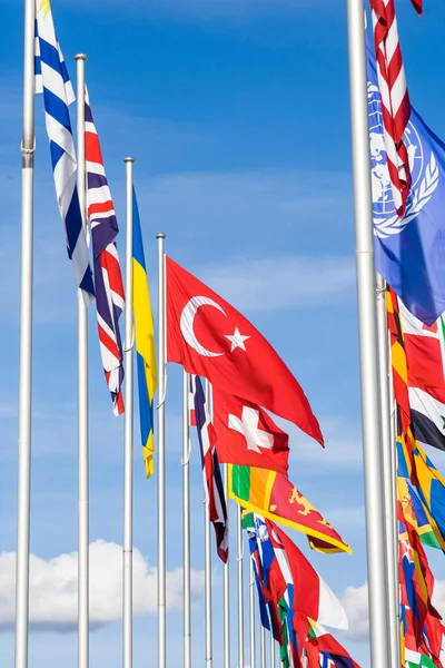 Flaggor Många Nationer Canberra — Stockfoto
