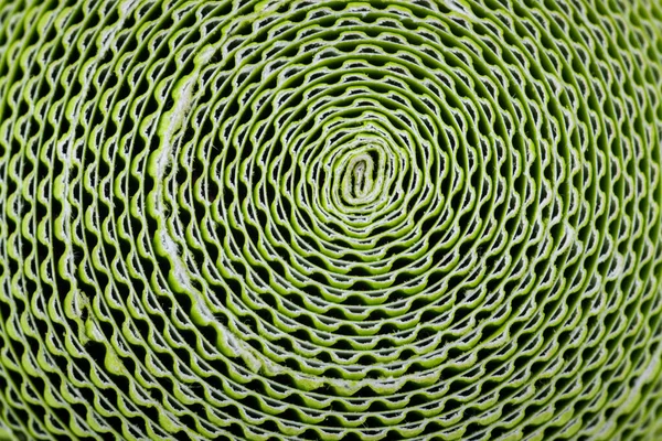 Papelão Com Solavancos Espiral — Fotografia de Stock