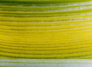 Kereviz desenini kes