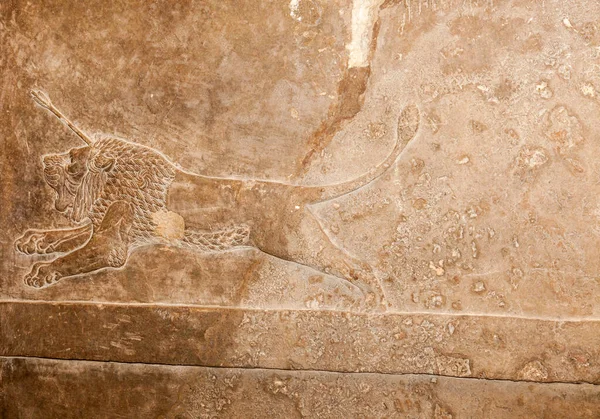 Assyrian Que Esculpe Aproximadamente 645 Nineveh Uma Caça Leão Arena — Fotografia de Stock