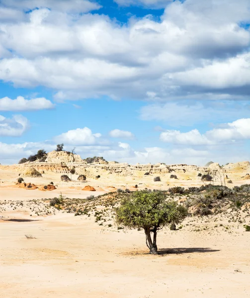 Alien moonscape Lake Mungo Australia — Stock Photo, Image