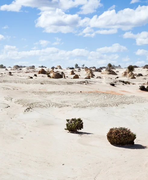 Alien moonscape Lake Mungo Australia — Stock Photo, Image