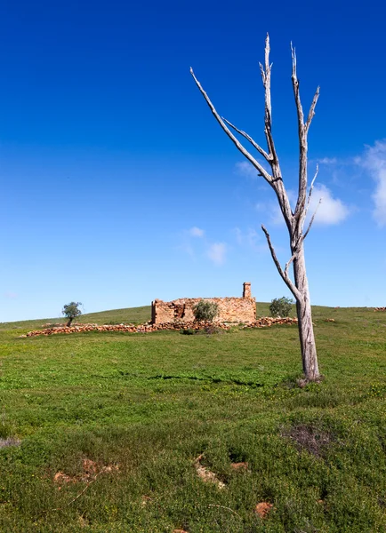 Herdade abandonada em Flinders Ranges Austrália — Fotografia de Stock