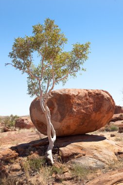 giant boulders Devils Marbles Australia clipart