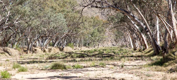 Řečiště centrální Austrálie — Stock fotografie