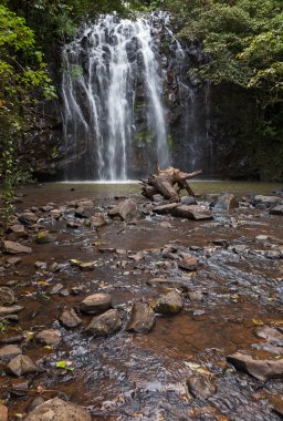 Ellinjaa Falls Kuzey Queensland