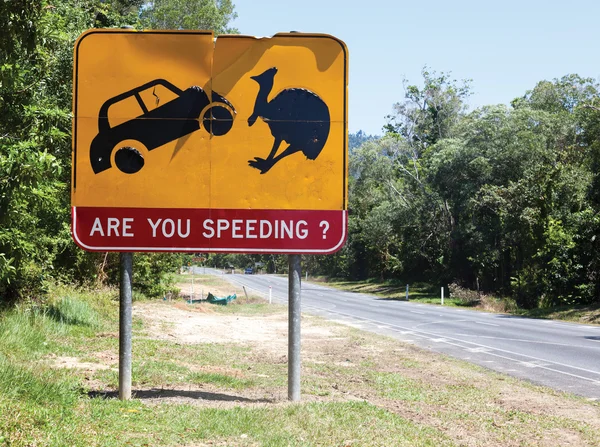 Watch out for emus — Stock Photo, Image