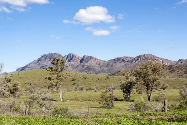 Flinders ranges australia — Stock Photo, Image