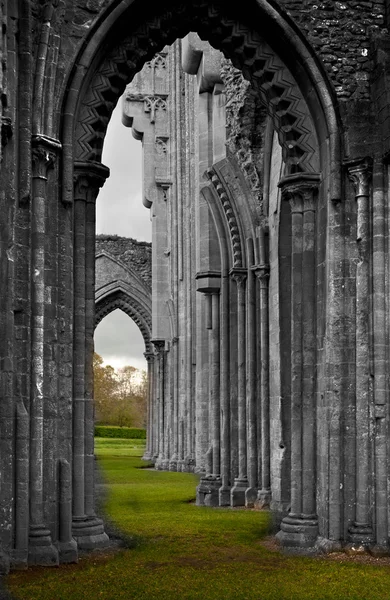 Mystérieuse cathédrale de Glastonbury — Photo