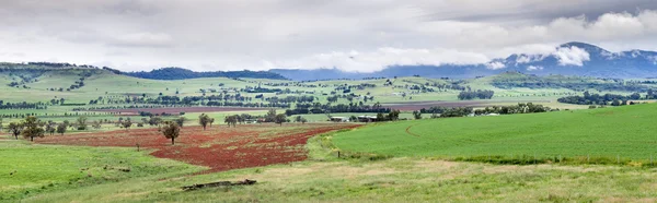 Bylong vale austrália — Fotografia de Stock