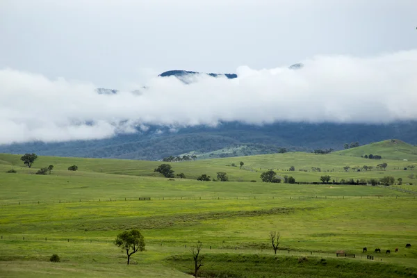 Rural nsw near sofala — Stock Photo, Image