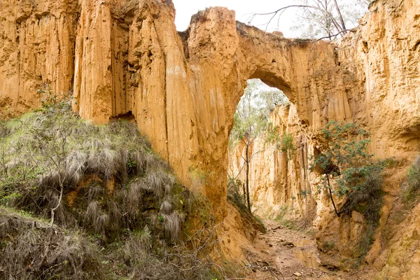 Canyon Woestijn Van Verenigde Staten Van Amerika — Stockfoto