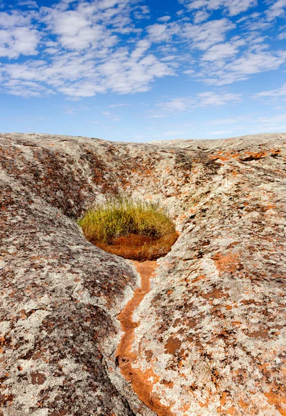 Скала Пилдаппа в Австралии — стоковое фото