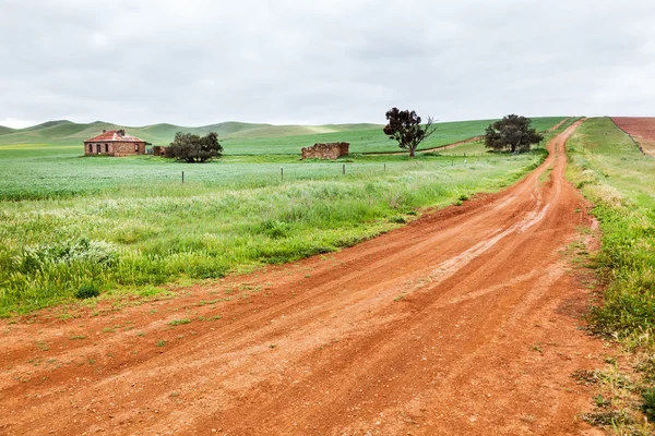 Lussureggiante terreno agricolo in Australia — Foto Stock